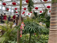 -南宫五洲植物乐园