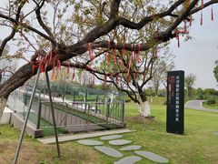 -府河摄影公园