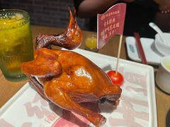 -大鸽饭(动物园店)
