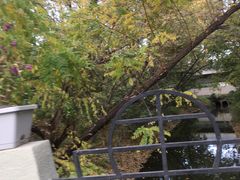 -廊坊市自然公园