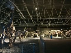 -世界恐龙谷景区