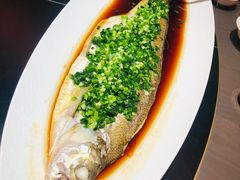 -新光酒家·河豚·海鲜·蟹料理(浦东店)