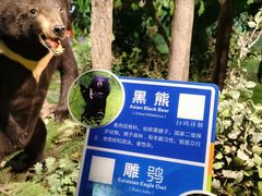 -吉林省自然博物馆