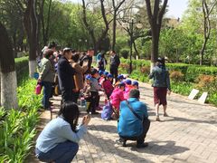 素描-山东大学(趵突泉校区)