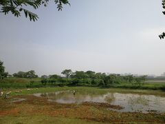 -盘龙城国家考古遗址公园