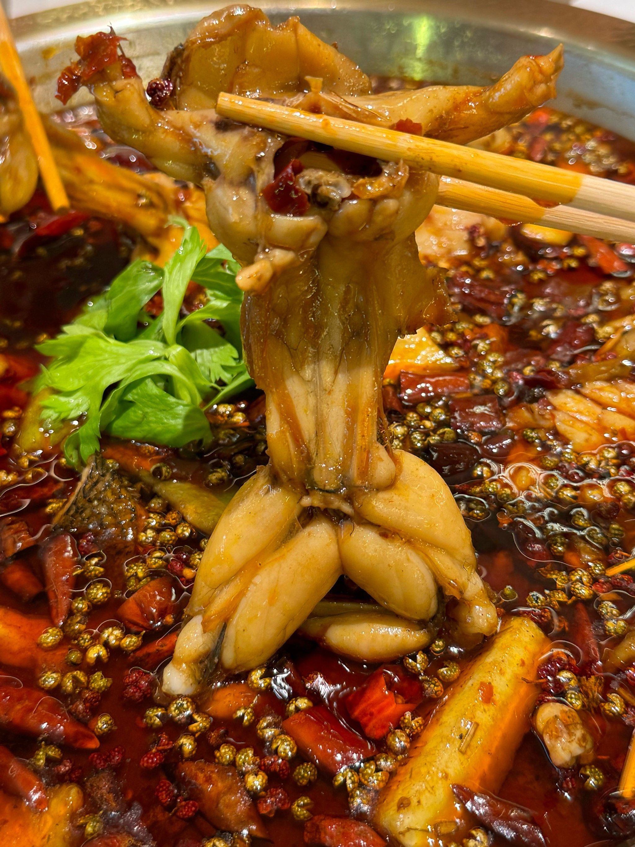 一锅10只蛙,吃到扶墙出