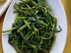 蒜蓉空心菜-真浪花园海鲜餐馆