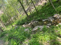 -玉渡山自然风景区