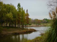 -贡湖湾湿地公园