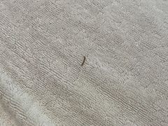 -九龙湾温泉汗蒸时代