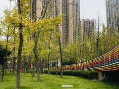 -府河摄影公园