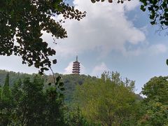 -焦山风景区