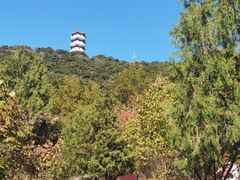 -北京十三陵国家森林公园蟒山景区