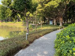 -顺峰山公园