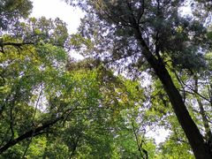 -金堂县云顶石城风景区