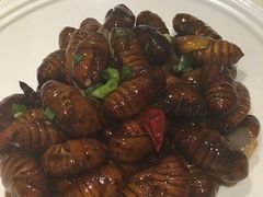 -宏达老菜馆(东安街店)