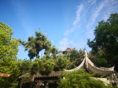 -花洲书院