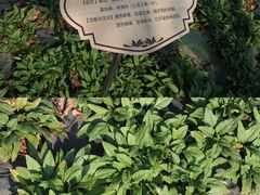 -广东中医药博物馆