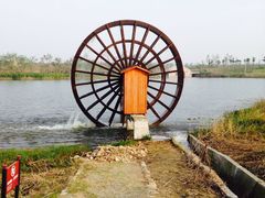 -杭州湾海上花田景区