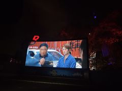 -枫花园汽车电影院(朝阳公园店)