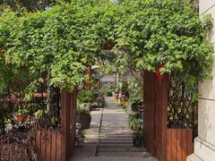 -谷咖啡·鲜花绿植花园餐厅