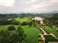 -张坝桂圆林公园