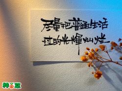 -芳香乐府疗愈空间·SPA·冥想