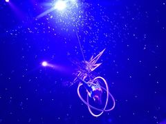 -珠海横琴长隆《卡卡虎奇遇记》