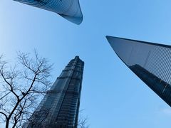 -上海中心大厦