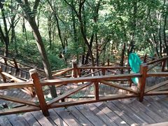 -大岭沟猕猴桃谷风景区