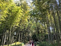 -西湖风景区十里琅珰-五云山