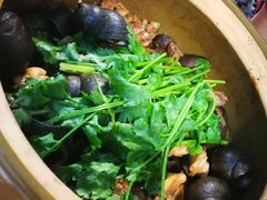 田螺鸡煲-食爺炭炉鸡煲·烧烤