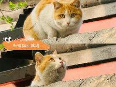 -南锣鼓巷