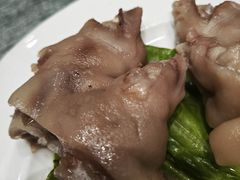 -丁老爷子苏香圆
