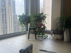 -美猴帮帮家政 保洁清洗长沙