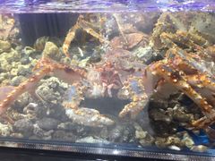 -盒马鲜生(岭南新世界店)