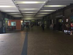 -香港大学