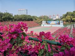 -观澜湖生态运动公社
