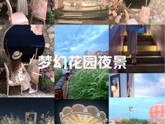 -汕尾风车岛