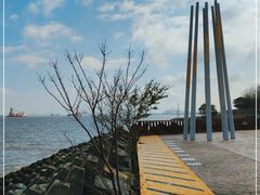 -上海滨江森林公园