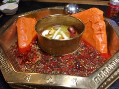 -蜀九香火锅(彩虹店)