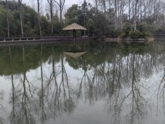 -溱湖国家湿地公园