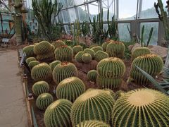 -北京植物园-展览温室