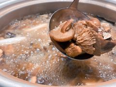 菌子火锅-爱膳菌锅锅(阳南店)