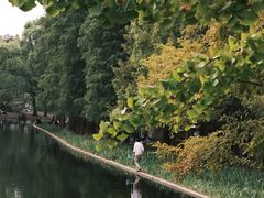 -上海共青森林公园