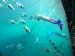 -瑞德姆美人鱼海底演艺主题餐厅(亚龙湾店)