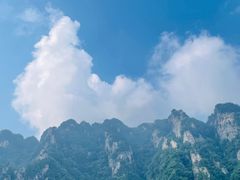 -王顺山国家森林公园