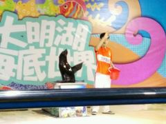-大明湖海底世界