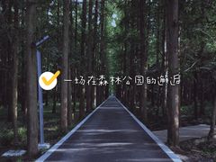-东平国家森林公园