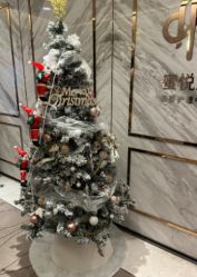 -蜜悦居月子中心(国金中心店)